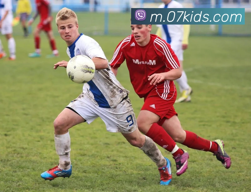 米兰app入口平台生态图