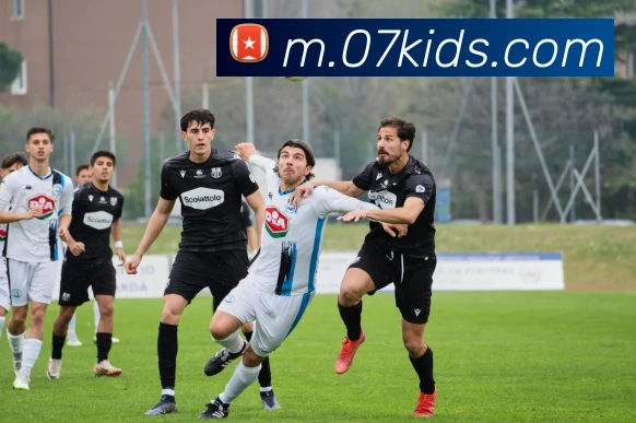 米兰app入口全站App